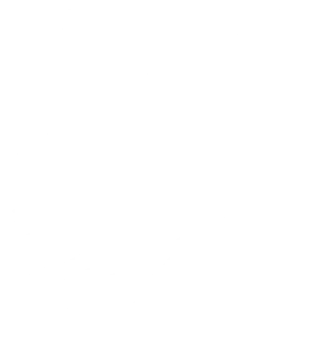 Villa du Moulleau Homepage